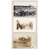 Image 1 : Animals - Real Photo Cattle - Cow Postcards 7