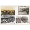 Image 2 : Animals - Real Photo Cattle - Cow Postcards 7