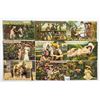 Image 2 : Romance - Lovers - Couples Approx. 190 Postcards
