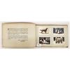Image 1 : Real Photo Cigarette Card Album of Dogs 46 Images