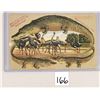 Image 1 : 2 Alligator Border Florida Postcards