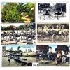 Image 1 : California Ostrich Farm Animal Postcards 27