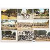 Image 2 : California Ostrich Farm Animal Postcards 27