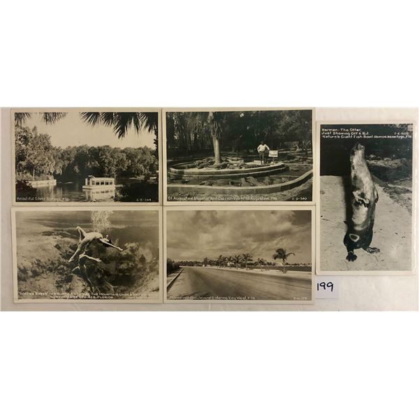 23 Real Photo Cline Florida Postcards