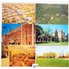 Image 1 : New Jersey 90+ Postcards
