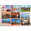 Image 2 : Continental Chrome Postcards 350+
