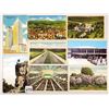 Image 2 : USA Postcards 450+