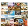 Image 8 : USA Sorted States Box 420+ Postcards