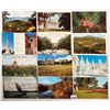 Image 8 : USA Sorted States Box 425+ Postcards
