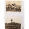Image 2 : Animals - Sheep Album Postcards Approx. 170