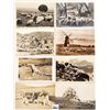 Image 2 : Animals - Real Photo Sheep Postcards 40