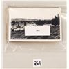 Image 8 : Animals - Real Photo Sheep Postcards 40
