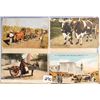 Image 2 : Animals- Dog & Animal Carts - Beasts of Burden Postcard Album Approx. 180