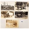 Image 2 : Animals - Real Photo Beasts of Burden - Animal Pull Carts 10