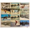 Image 2 : Sports - Snow Skiing Postcards Approx. 130