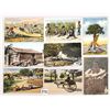 Image 2 : Black Americana Postcards 60+