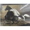 Image 2 : Framed Picture of Wild Horses 18'' x 24'' 
