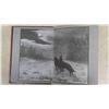 Image 2 : Raindbows End, Kinosota, Alonsa District MB Canada 1855 History Book