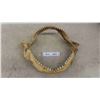 Image 1 : Vintage Shark Teeth with Jaw Approx. 15'' x 11'' 