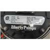 Image 2 : 1/3HP Liberty Sump Pump