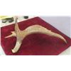 Image 2 : Carved Antler Shed