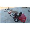 Image 1 : Mastercraft 5HP 24'' Cut Snowblower - Runs
