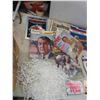Image 2 : Winnipeg Jets Lineup Game Pamphlets, Sports Illustrated Magazines, 