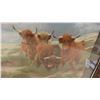 Image 8 : 3 Antique Highland Cattle Prints - Largest is 29'' x 24'' 