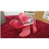 Image 8 : Swarovski Crystal Pegasus , Siamese Fighting Fish 