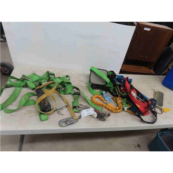 Safety Harness 