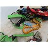 Image 4 : Safety Harness 