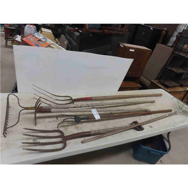 6 Hand Yard Tools : Rakes, Forks, Scuffler 