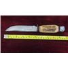 Image 2 : Bushman Blue Steel Hunting Knife with Sheath (Total Length) 9 