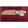 Image 8 : Bushman Blue Steel Hunting Knife with Sheath (Total Length) 9 