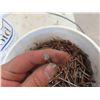 Image 4 : Pail of 3'' Nails 