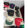 Image 2 : 20 Caps : Fishing, Sports Teams & More 