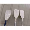 Image 2 : 3 Paddles 