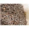 Image 2 : 2 Gallons of 1'' Nails 