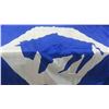 Image 2 : Manitoba Flag 105'' x 52'' & Pins 