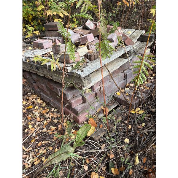 Quantity of solid Brick & various cement blocks.