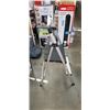 Image 2 : STEP LADDER