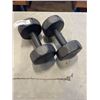 Image 1 : 2 DUMBBELLS 10 LBS EACH AND 2 EXERCISE MATS