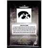 Image 2 : Caitlin Clark Raining 3s 2024 Panini Caitlin Clark Collection #R2
