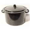 Image 1 : LARGE POT WITH CANNING INSERT