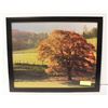 Image 1 : FOUR SEASONS HOLOGRAPHIC ART