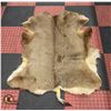 Image 1 : WHITETAIL DEER HIDE