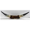 Image 1 : GENUINE BULL HORN SHED WALL DECOR