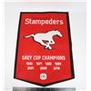 Image 1 : CALGARY STAMPEDERS GREY CUP CHAMPIONS