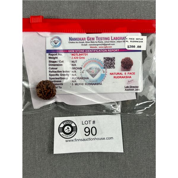 5 Face Natural Rudraksha. Retails $200.00