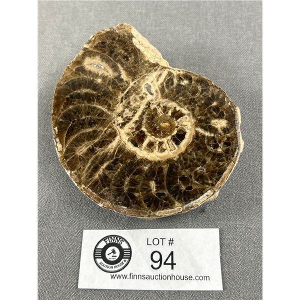 4.2" Ammonite Fossil. Retails $500.00